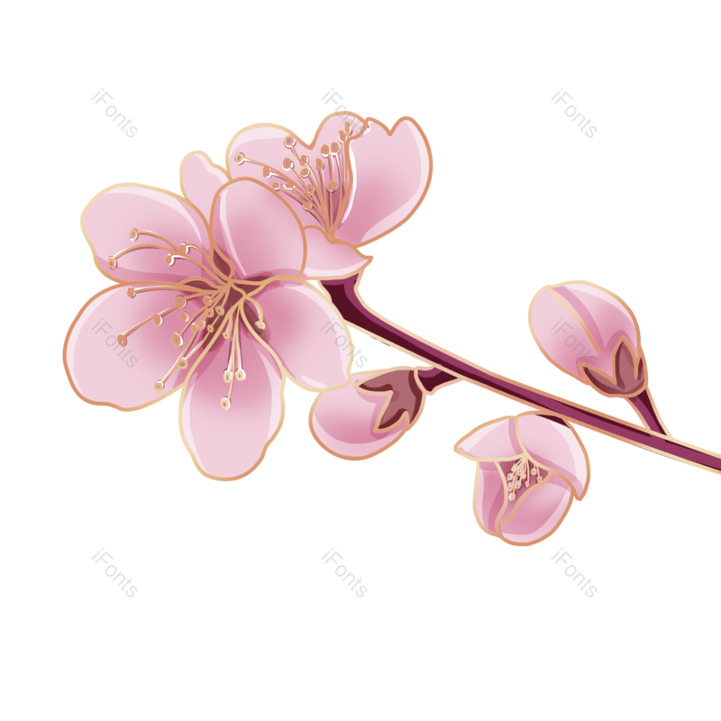 元素图片,花卉元素,花朵PNG,春天免抠素材